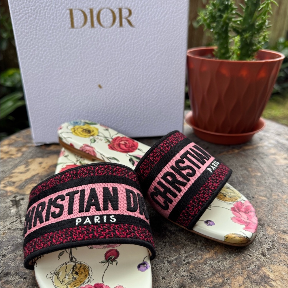 Christian Dior Dway Slide